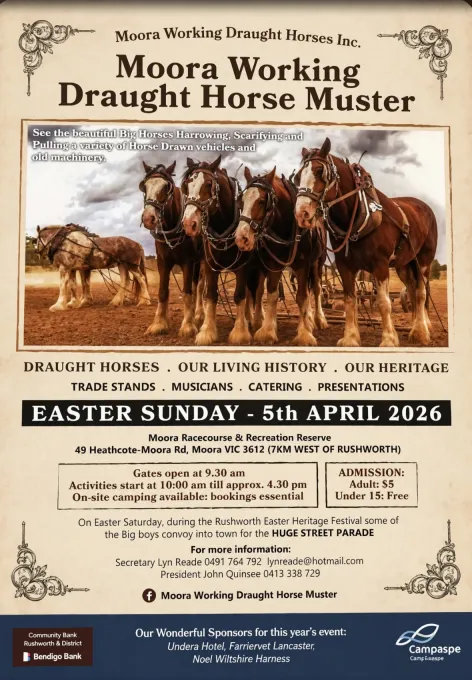 Moora Working Draught Horse Muster